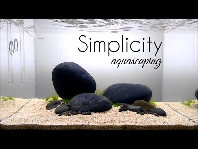 Aquascaping GAME OF RIVER STONE (SIMPLICITY)