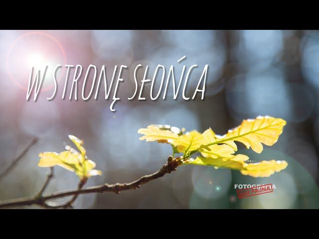  W stronę słońca - Fotografia jest Fajna