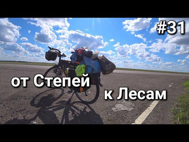 Россия-Казахстан, природа изменилась! от степей к лесам