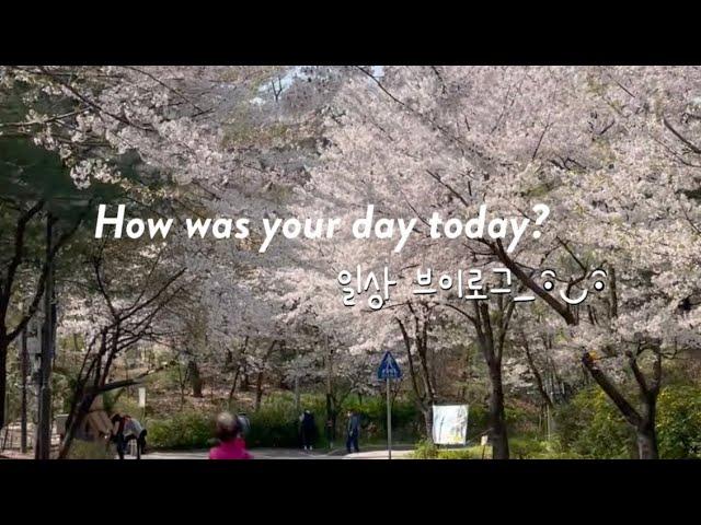 [29.일상 V-log] 사회인야구. 제과기능사 실기 학원. 상추 모종심기. 신혼집 구하기. 일상 모음. 일상브이로그