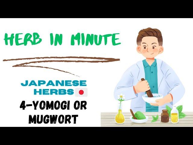 4- Yomogi or Mugwort ( japanese herb).