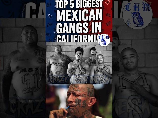 Top 5 Most Dangerous Mexican Gangs in California  | Chicano Street Culture EXPOSED” #hood #cali
