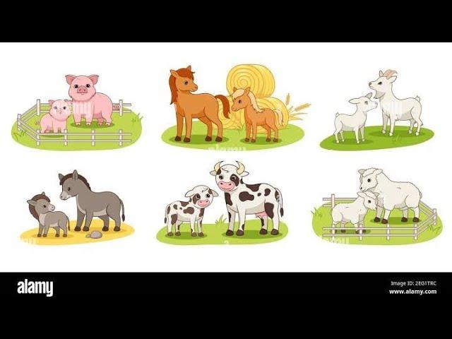 Animals baby names and home names | Easy learning for kids | Master Ruthik