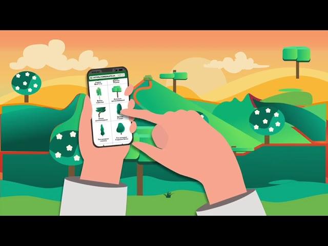 Green Life - Питомник растений №1 в Украине. Плодовые, Лиственные, Хвойные деревья и крупномеры