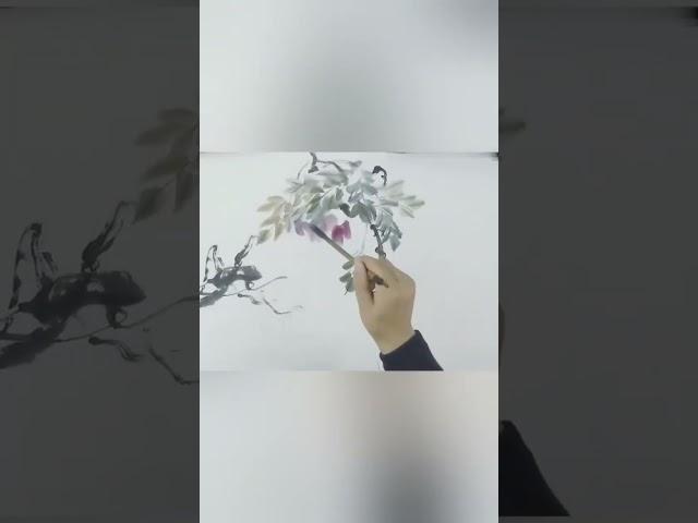 国画技法示范：紫藤画法示范 写意花鸟画创作