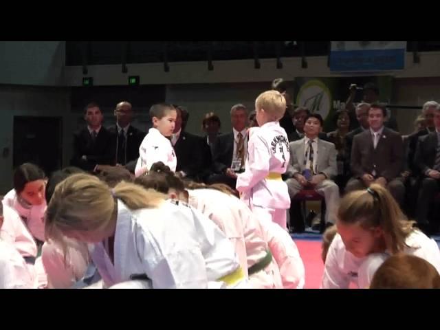 Leverage and Legacy of the 2011 Taekwon-Do World Championships