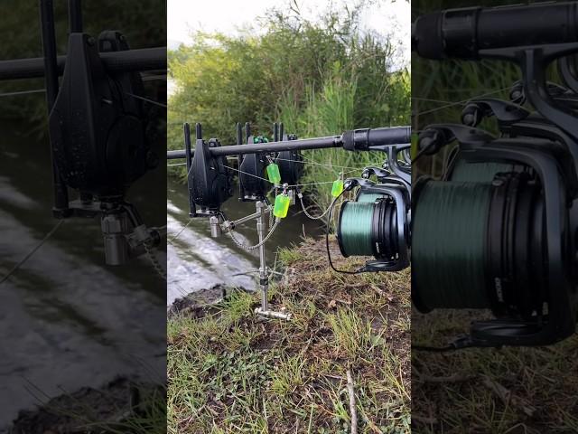 CRAZY CARP RUN #carpfishing