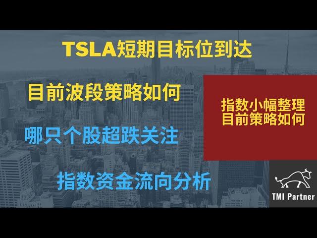 【美股分析】TSLA短期目标位到达！目前波段策略如何？哪只个股超跌可以关注？当前指数资金流向分析！点击下方网站链接加入美股投资群！