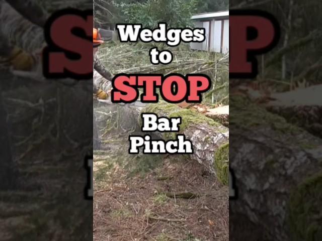 STOP CHAINSAW PINCH