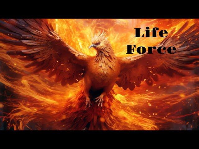 Flying with Phoenix️‍火の鳥🪶Original Healing Electronic Music 432hz for Strength & Inner Peace