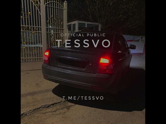 Shamsti Official-Eupho (TESSVO)