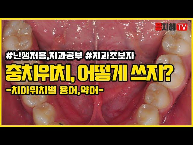 [난생처음,치과공부] #4.치아 위치별 치과용어,약어 구강내 용어