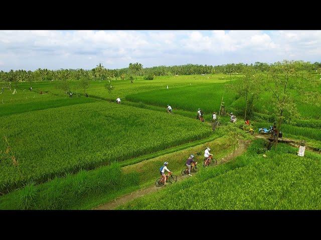 Electric Bike Tour in Ubud, Bali