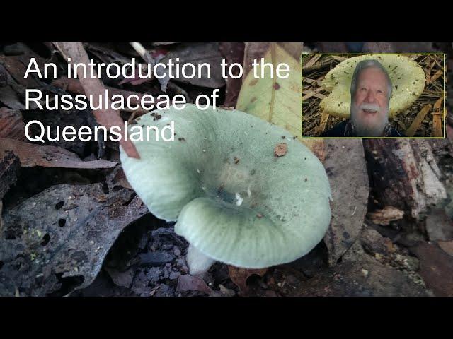 Patrick Leonard - An Introduction to Russulaceae