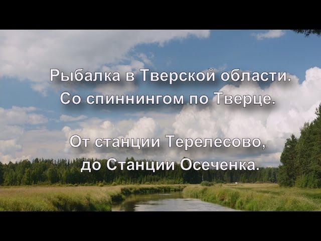 Рыбалка в Тверской области. Со спиннингом по Тверце. Из Ст.Терелесово до Ст.Осеченка. Видеоотчет