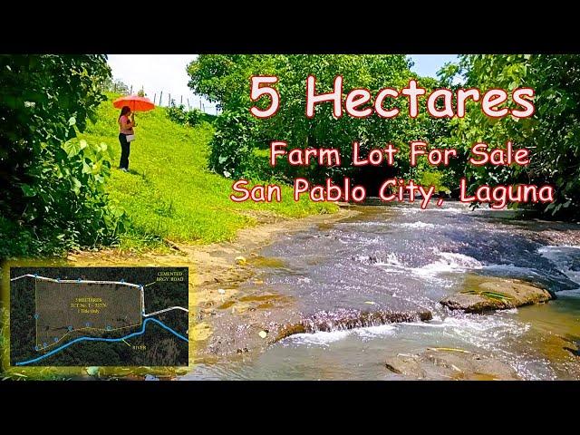 FARM LOT WITH RIVER FOR SALE  (Prop#142) 5 HECTARES, SAN PABLO CITY, LAGUNA
