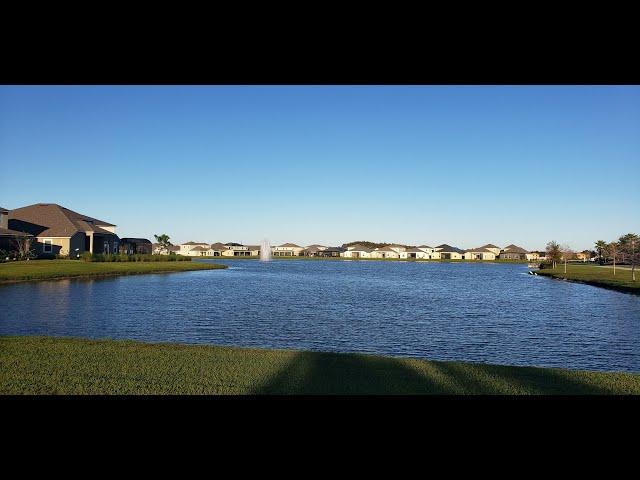 4 REASONS TO LIVE AND NOT TO LIVE IN ORLANDO FLORIDA