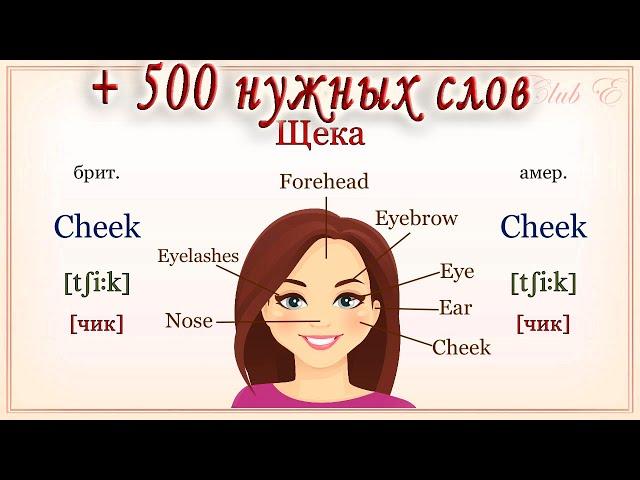 Полезный Словарь500 английских слов на все популярные темы