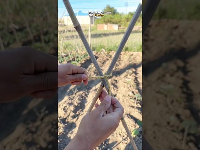 This One Rope Trick Replaces Nails & Screws!