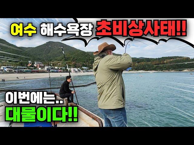 사고쳤다!! 지금 여수 앞바다 수백만마리 물고기떼 사이에 대물 바글바글한다!!