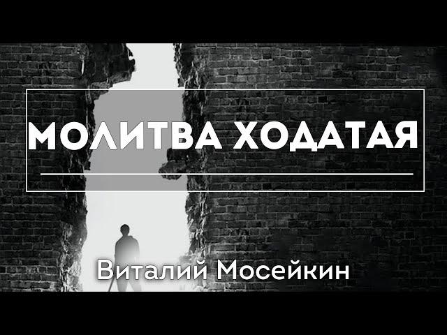 Виталий Мосейкин : "Молитва ходатая." | г.Доброполье 16.01.22