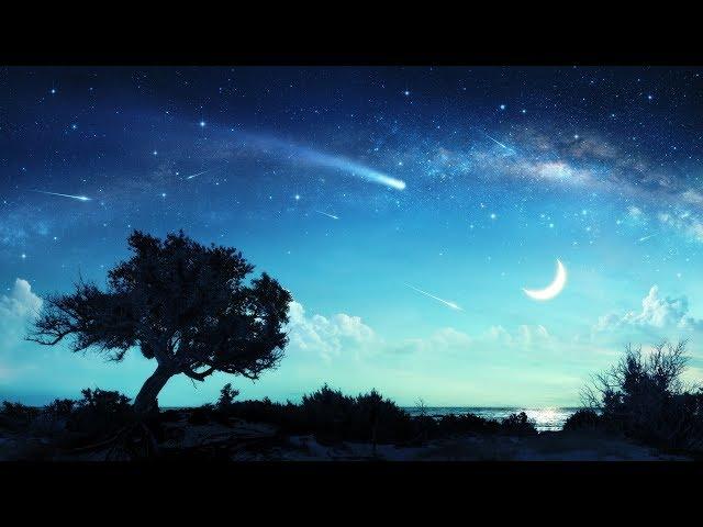 Beautiful Sleep Music | Calming Piano Music | Healing Piano Music | Relaxing Sleep Music