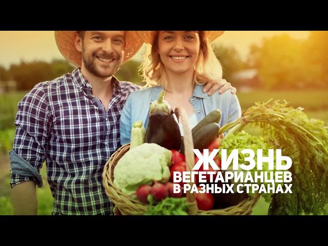 телеканал Первый Вегетарианский. Промо-ролик 2