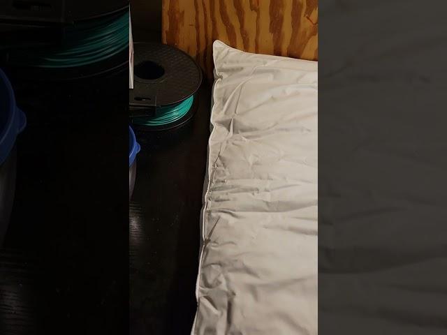 Acrafsman Luxury Goose Down Pillow Insert Review, 1 Pillow
