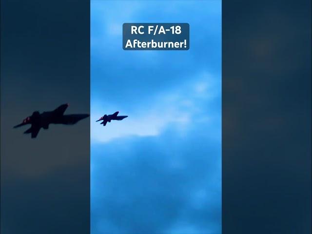 Eflite 80mm F-18 EDF!!! LED Afterburner from Freewing. #RC #aviation #RC #RCplane #jet #rcjet