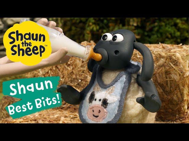 Farm Park ‍ Shaun the Sheep Best Bits  Season 6