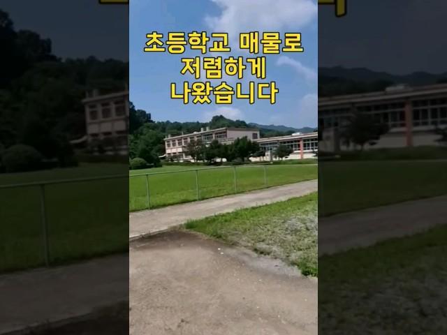 초등학교 폐교되어 저렴하게 매물로 나왔습니다.땅7,226평,건물6동~어쩌면 기회가 올수도...[땅지통]