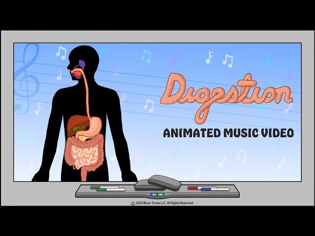 Digestive System | Animated Music VIdeo  |