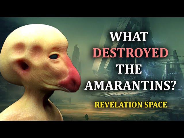 What Wiped Out The Aliens? | Revelation Space