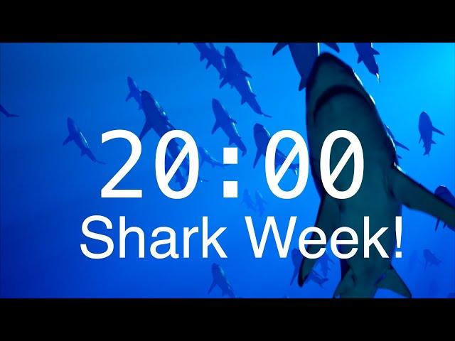 20 Minute Countdown Timer with Alarm | Relaxing Music | Shark Timer | Shark Week!