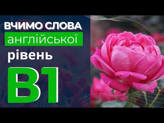 Вчимо слова англійської мови рівень В1 - Англійська слова лекго та швидко