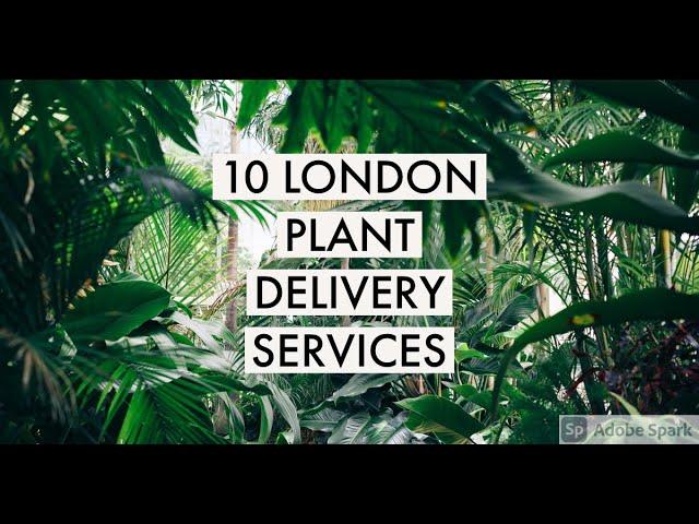 10 London Plant Delivery Services