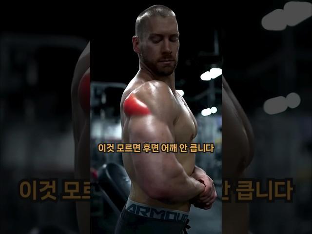 이것 모르면 후면 어깨 안 큽니다 (with CLOVA Dubbing) #헬스 #헬스정보