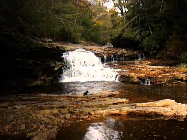 Waterfall on Red Creek in Dolly Sods above junction with Fisher Spring 10/7/2009
