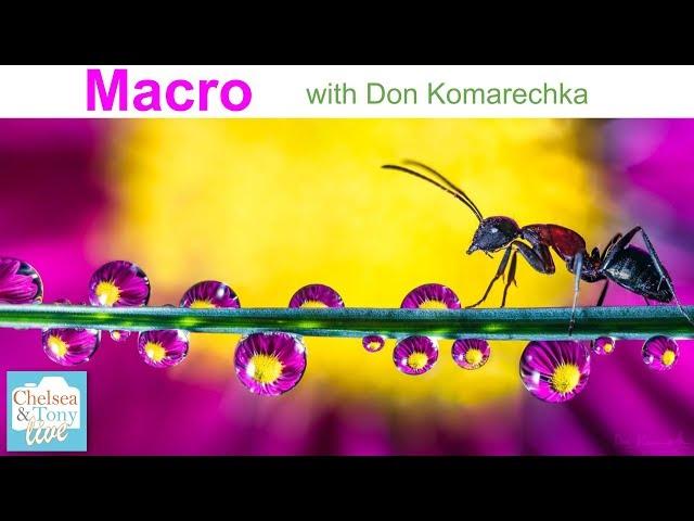 MACRO Photography with Don Komarechka (T&C LIVE)