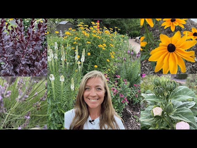 Create a Pollinator Garden Full of Blooms From Spring to Fall! Heat and Sun Loving! //FlowerFanatic