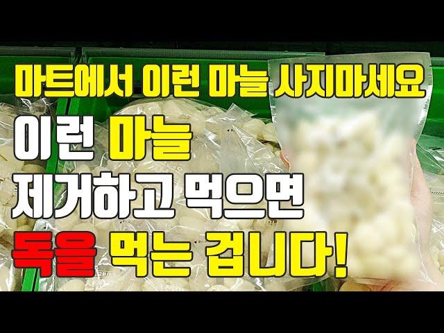 마늘의 모든것! 이것만 숙지하세요. 고르는법, 보관법, 활용법