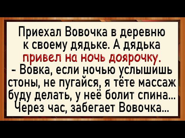 Как Вовочка за дядькой подсматривал! Сборник свежих анекдотов! Юмор!