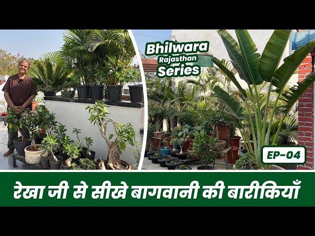 राजस्थान की रेखा जी से सीखे बागवानी की बारीकियाँ 🪴Gardening Tips for Begineers  Bhilwara EP-04