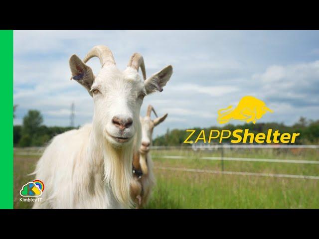 Craig Michel on why Zappshelter partnered with Kimbley IT