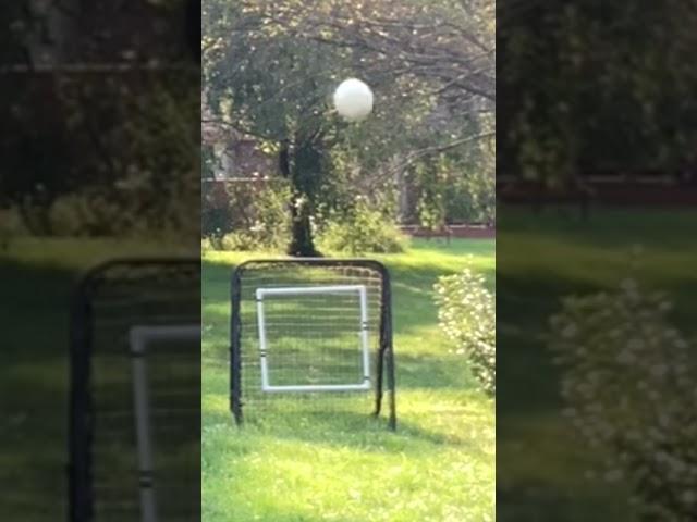 Nasty Knuckleballs! #viral #pwl #baseball #trending #sports #mlw
