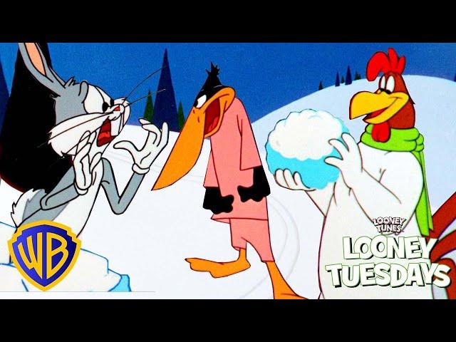 Looney Tuesdays | ​Chills And Thrills  | @wbkids​