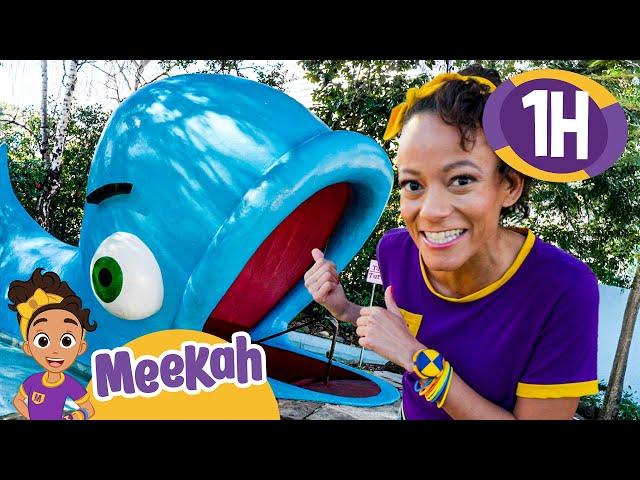 The GIANT Blue Whale! |  Educational Videos for Kids | Blippi Meekah TV