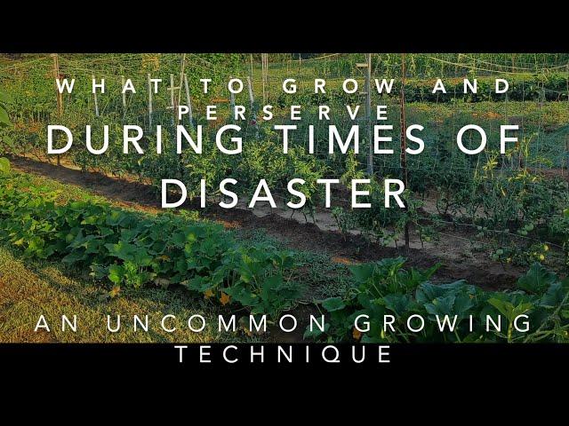 What to Grow and How to Preserve it During a Disaster, Famine, or War