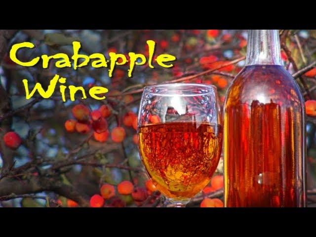 Making Crabapple Wine at Home