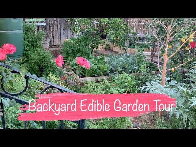 Backyard Edible Garden Tour